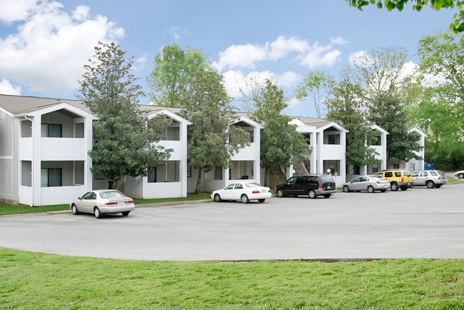 Photo - Lily Grace South