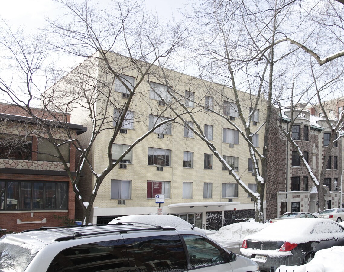 The Briar - The Briar