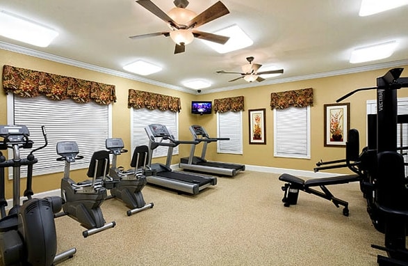 Gimnasio