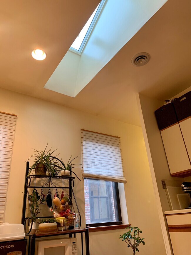 Skylight in kitchen - 1509 Buena Vista St Unidad 2
