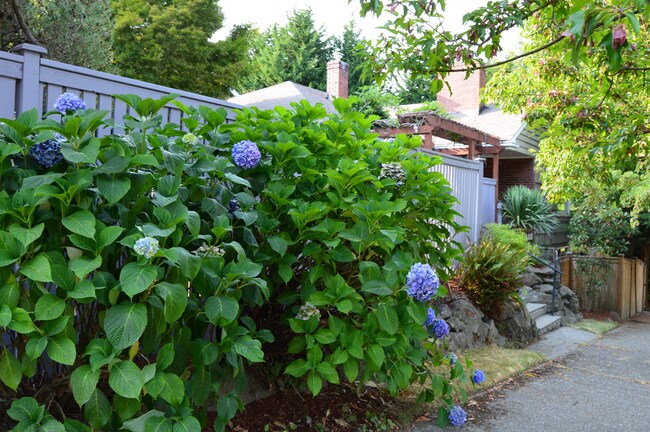 Photo - 5405 47th Ave NE