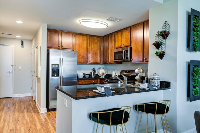 Model Kitchen - Curve 6100