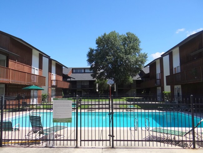 The Establishment Swimming Pool