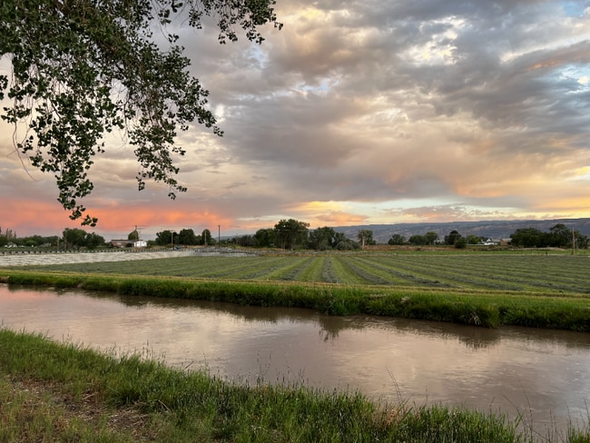 Photo - 911-924 24 Rd