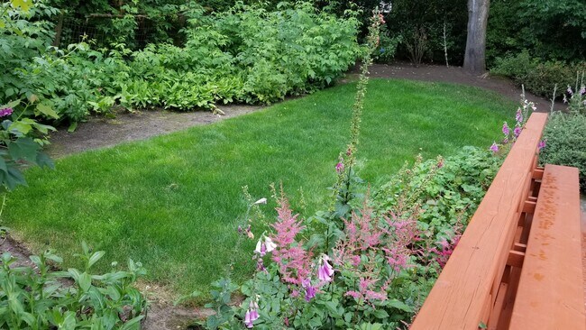 Back lawn off deck - 4430 SW Vesta St House