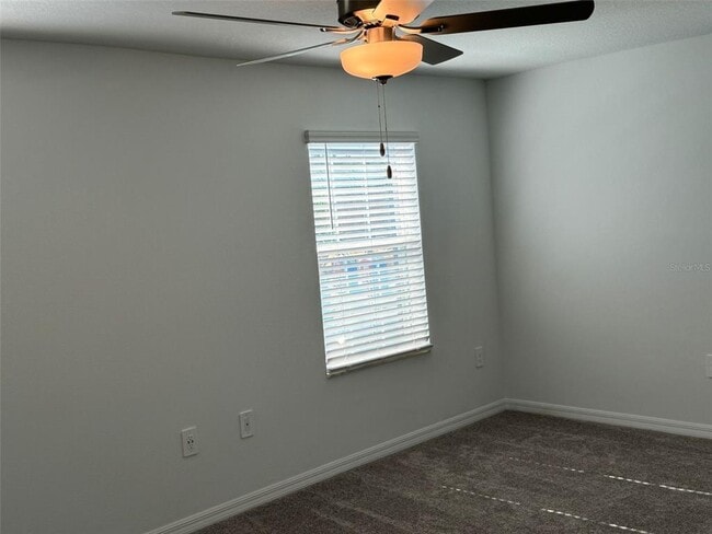 Photo - 10443 Lavender Aster Trl