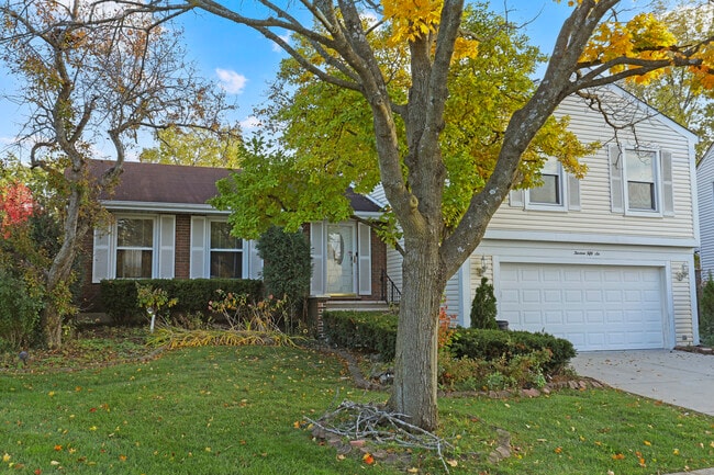 Building Photo - 1356 Larchmont Dr