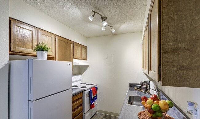 Photo - Spyglass Creek