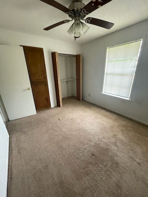 Photo - 2 Bed, 1 bath Apartment Unidad 1