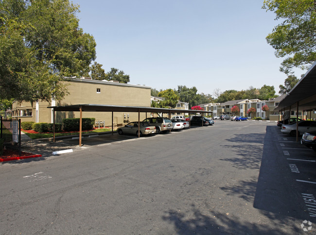 Madison Oaks Apartments - Madison Oaks Apartments