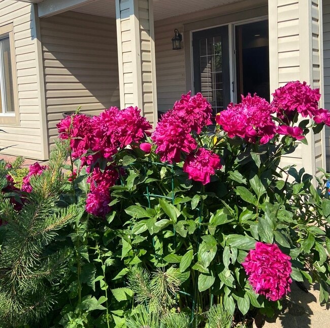 Building Photo - 268 Kincora Hts NW Unit NW Walkout Basement Suite