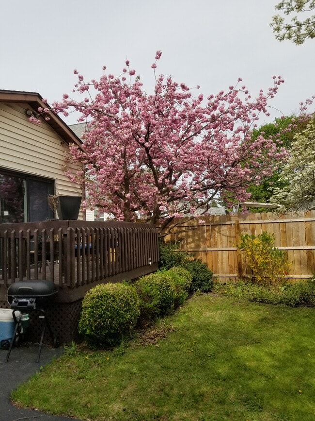 Backyard deck/yard - 69 Cypress St Unit 69 Cypress