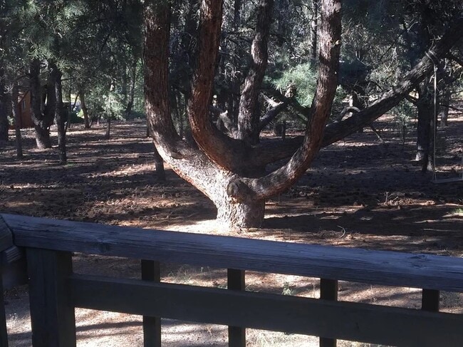 Photo - 2704 Tirol Dr