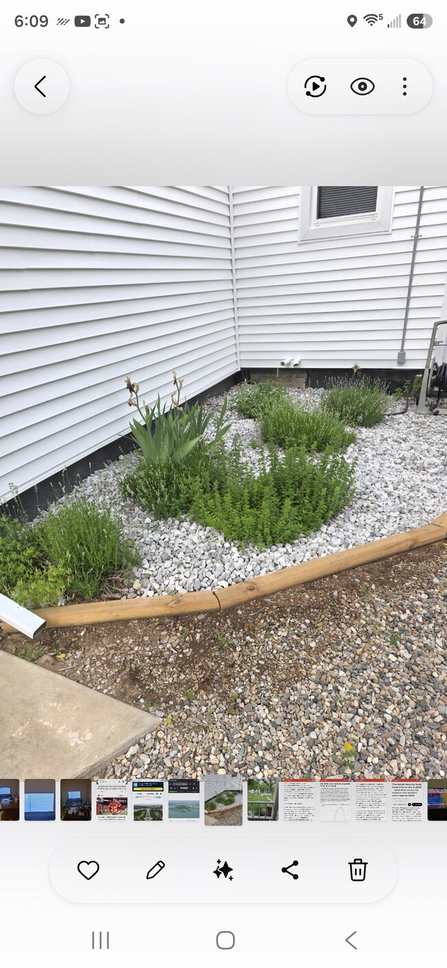 Landscaping herb garden near entry - 413 N Marshall Ave Unit 413 1/2 N. Marshall Ave.