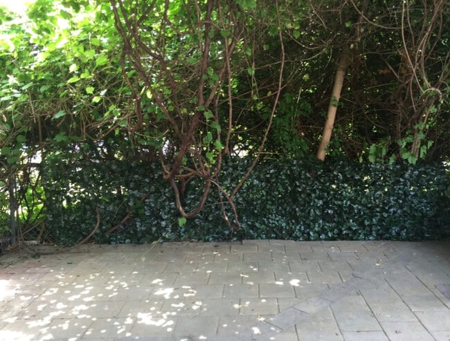 Photo - 11 Meadow St