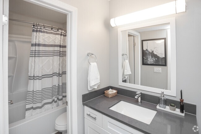 1HAB, 1BA - 647 ft² - A62 Apartments