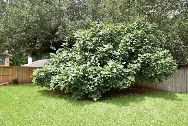 Photo - 3522 Pecan Point Dr