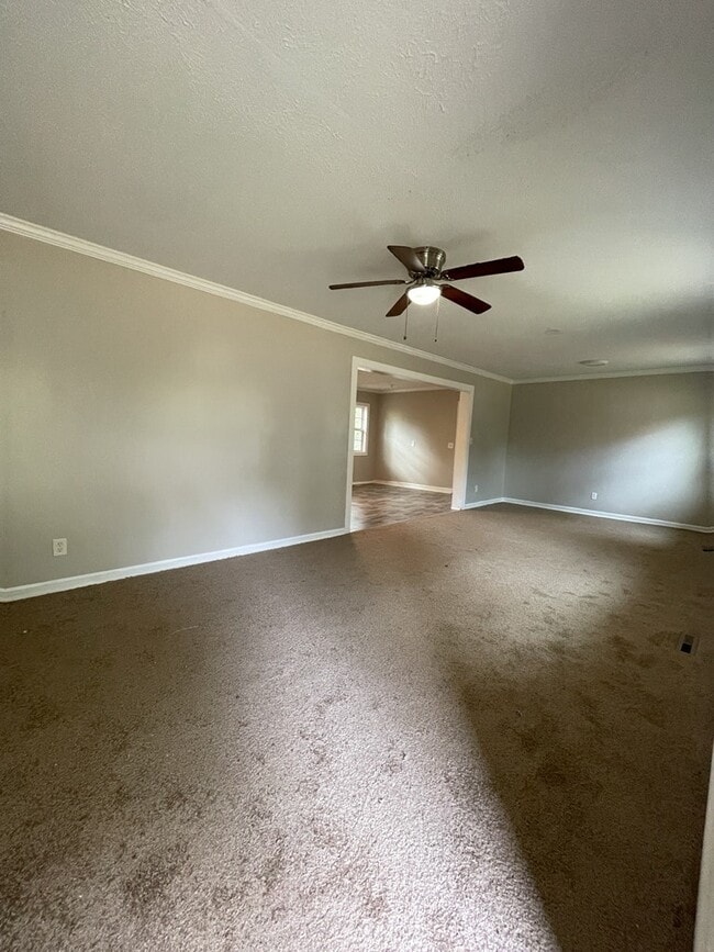 Photo - 511 Woodward Ave