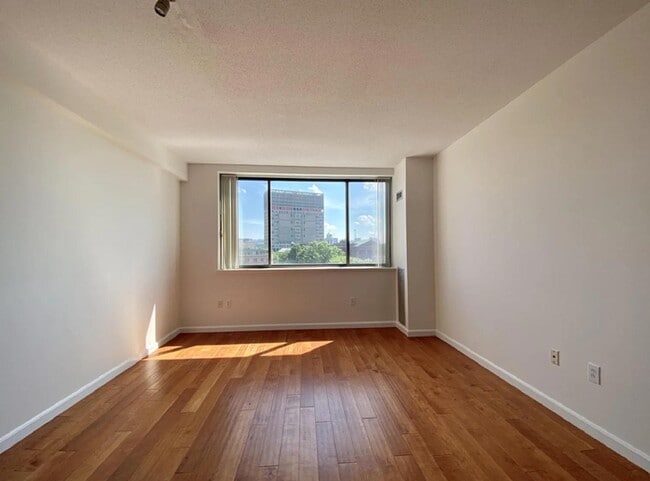 Photo - 169 Monsignor O'Brien Hwy