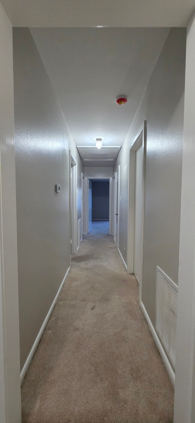 Hallway - 7943 Pecan Villas Dr