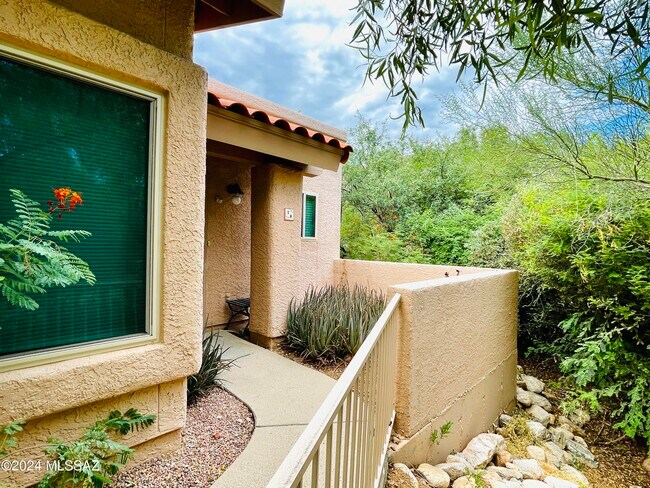 7601 N Calle Sin Envidia Unit 18