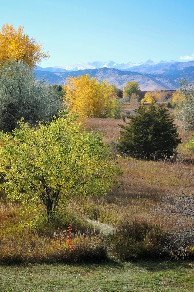 View from unit - 4945 Twin Lakes Rd Unit 4945 Twin Lakes #46