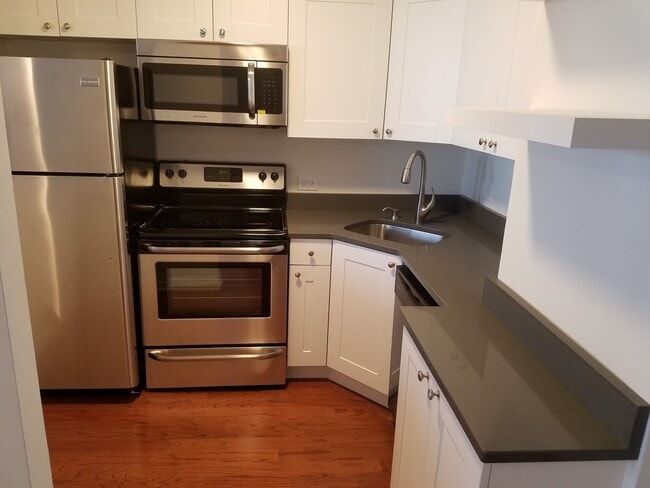 Photo - 1455 N Sandburg Terrace Unidad 2007