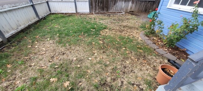 Photo - Cozy and Spacious Home for Rent