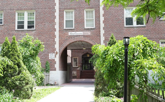 Mayflower - Mayflower