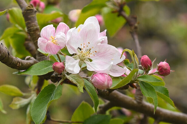 Photo - 1613 Draw St