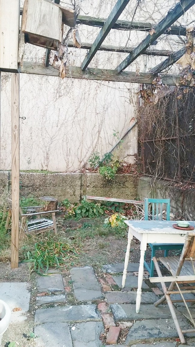 backyard - 223 Van Brunt St Unit 1R