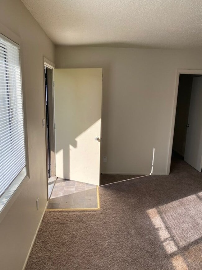 Photo - 1534-1534 County Rd Unidad 1532 6
