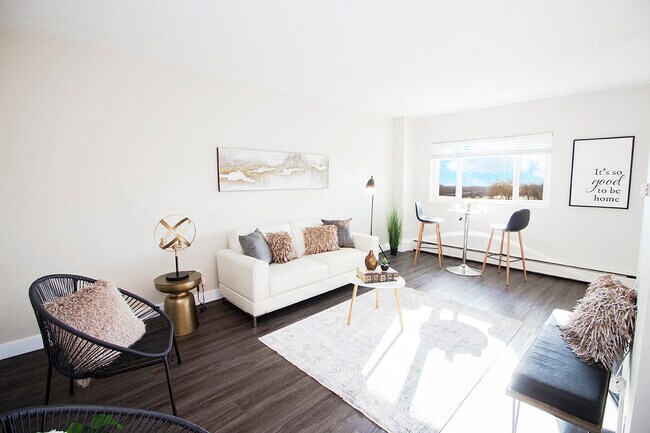 1BDR - Living Room - 2075 Portage Apartment