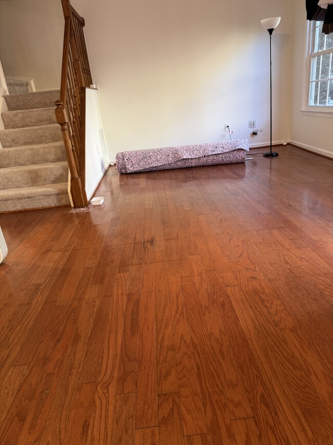 Photo - 6091 Netherton St