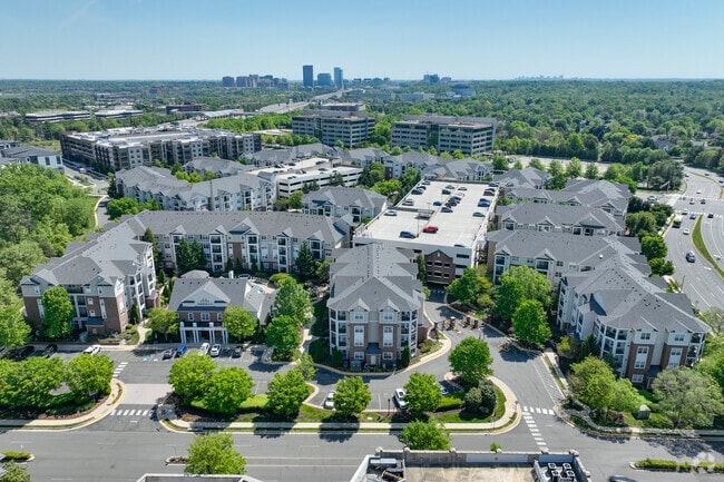 Photo - Bryson At Woodland Park