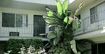 Photo - Baird Apartments