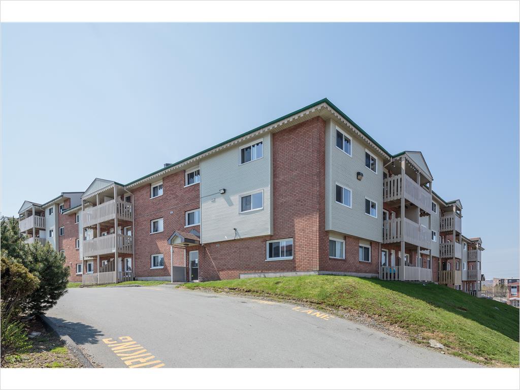 Highfield Park - Highfield Park