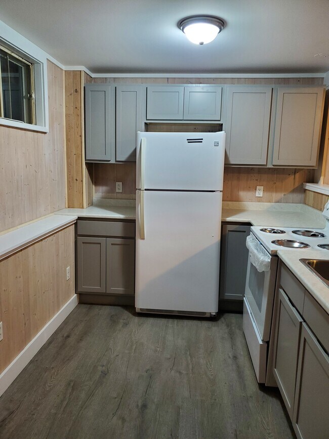 Photo - Only trees Infront and trees behind. Unité -2