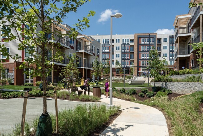 Allium Place