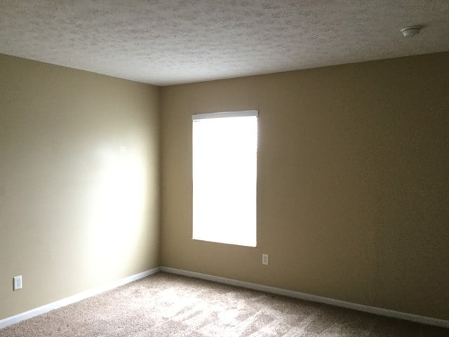 Photo - 11785 Holgate Dr