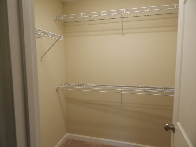 Photo - 203 Bobwhite Dr
