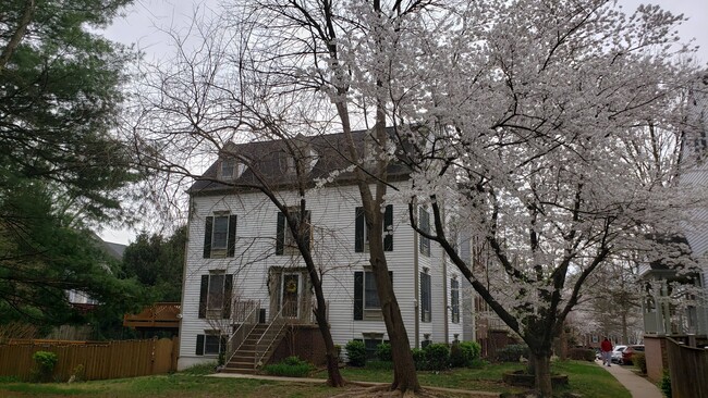 4 story townhouse with basement and loft, 4 bedrooms and 3.5 bathrooms - 13 Steeple Ct Townhome