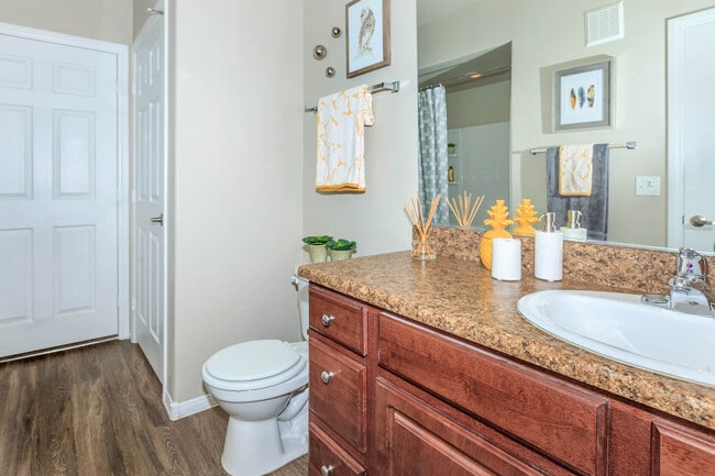 The Sanctuary 751 SQFT 1 Bed 1 Bath