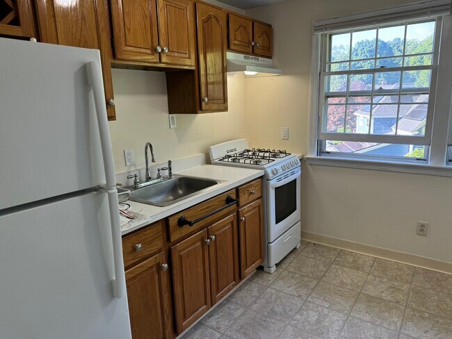 KItchen - 1 Arlington St Apartments Unit 14