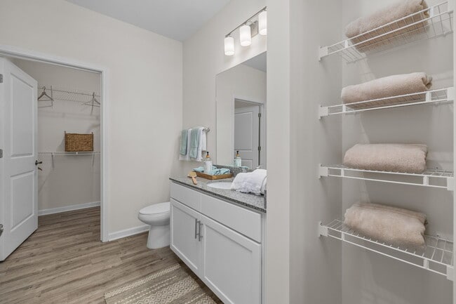 Stylish Bathroom finishes.