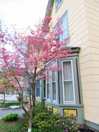 Photo - 69 Market St