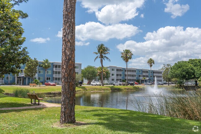 Photo - Sarasota Palms