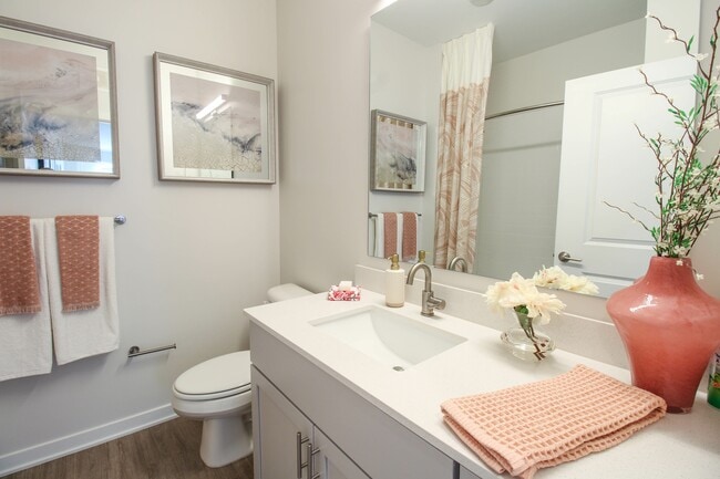 Array Bathroom