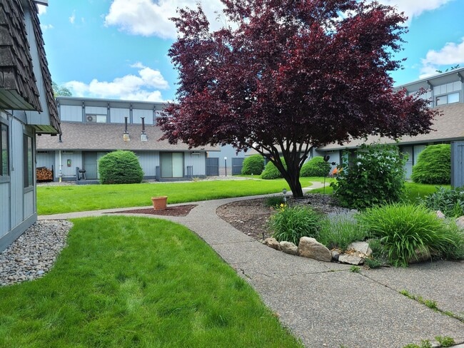 Photo - Alpine Square