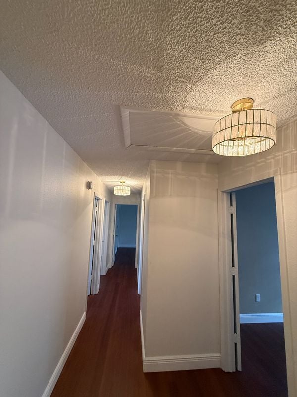 Photo - 4416 Summer Oak Dr